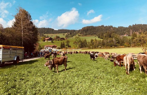 Ettensberg Apartment | Family-Friendly Souterrain Ferienwohnung with High Ratings