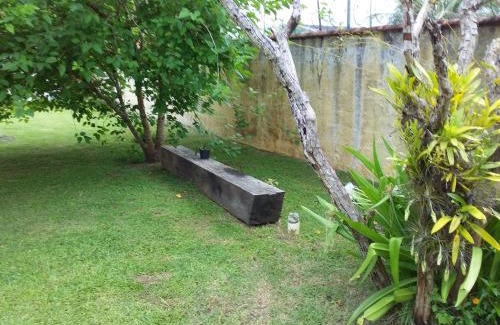 Cananeia House | Pet Friendly Seestern Gasthaus - Guest Rated 9.5/10