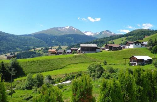 Segnas Apartment | Cozy Apartment in Disentis with Garden, BBQ & Fireplace