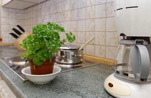 Spiegelau Apartment | Private Apartment "Rachel" with Kitchen and Balcony Access
