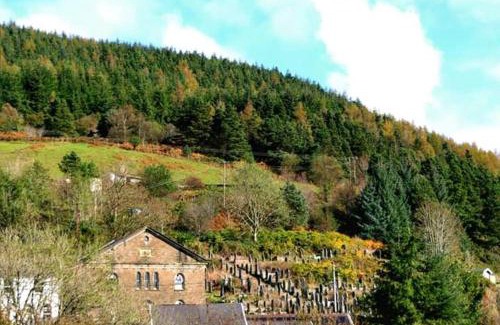 Port Talbot House | Pet-Friendly Selah Cottage on Queen Street: Rated 9.3/10