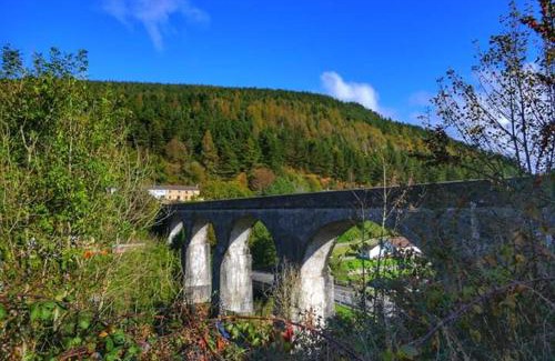 Port Talbot House | Pet-Friendly Selah Cottage on Queen Street: Rated 9.3/10