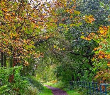 Port Talbot House | Pet-Friendly Selah Cottage on Queen Street: Rated 9.3/10
