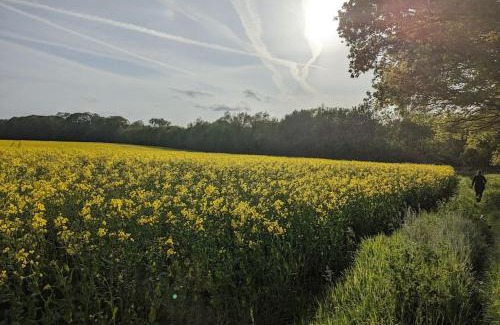 Aldborough Apartment | Pet Friendly Self-Catering Guest Annex with High Ratings