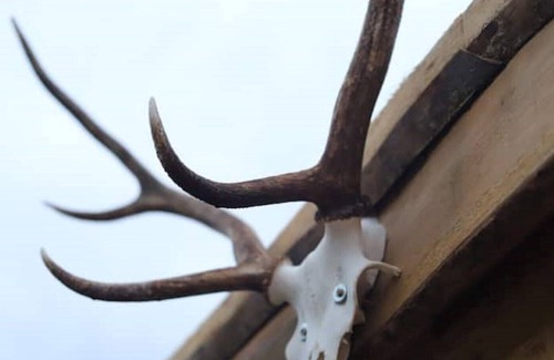 Spean Bridge Cabin | Self catering lodge in the heart of the highlands, Close to Ben Nevis