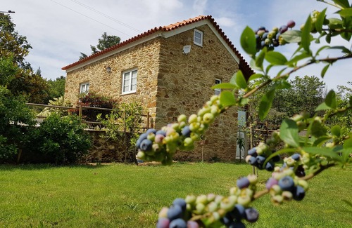 Sever do Vouga Cottage | Cozy Self-Catering Quinta do Sobreiral for 4 Guests