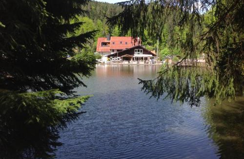 Triberg im Schwarzwald House | Self-Check-In Apartments with Restaurant by the Lake