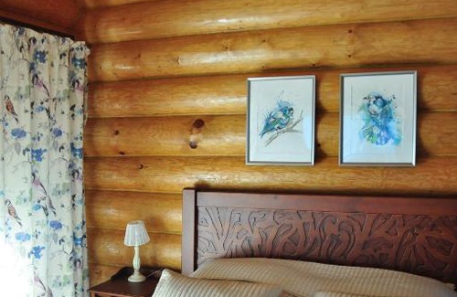 Zaevskoe House | Experience Селигерская Ривьера: Pet-Friendly Beach Getaway