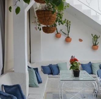 Zona Colonial Hotel | Experience Selva María Hotel Boutique with Oceanfront Comfort