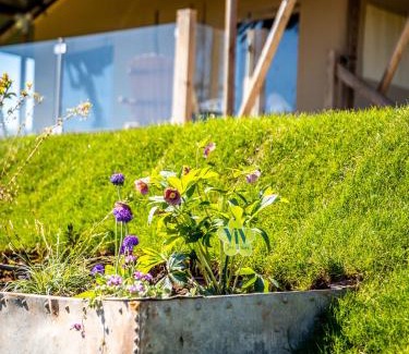 Totnes House | Discover Semira Tent Lodge: 4-Star Pet-Friendly Escape