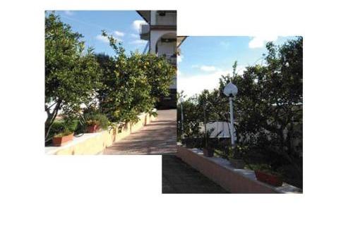 Augusta Apartment | Experience Sempre Verde: Oceanfront Retreat for Families