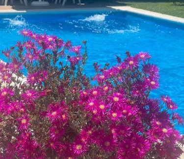 La Zubia Villa | Discover Senderos de la Alhambra: Oceanfront Oasis Awaits