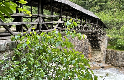 Cayeli House | Welcome to Senoz Mountain House - Family Bungalow Retreat