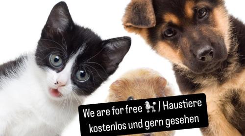 Bad Goisern Apartment | Sepperls Stubn Apartment - PETS no extra cost - Bad Goisern - 24-hours Self check-in
