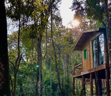 Bueno Brandao Cabin | Magical Sequoia Treehouse: Rated 9.9, Pet-Friendly Oasis