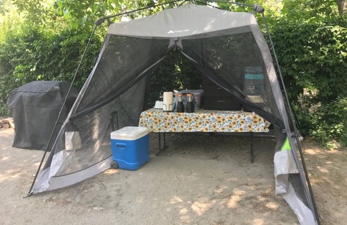 Three Rivers RV Rental | Cozy Sequoia Jewel: Unique Bell Tent Near National Park