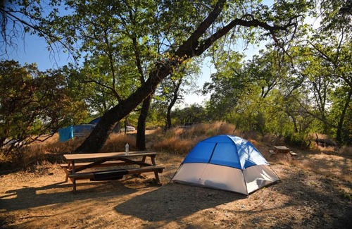 Pinehurst Other | Pet and Child Friendly: Sequoia Mountain Farms Campground