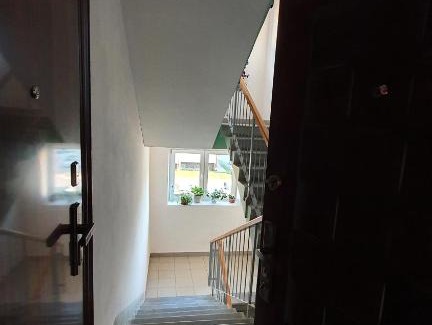 Sortavala Apartment | Pet-Friendly Stay at Serdobol 2 - Rated 9/10 by Guests