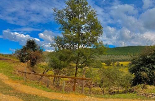 Merrivale Ski Chalet | Child-Friendly Serenity at Serendipity Guest Farm Byrne