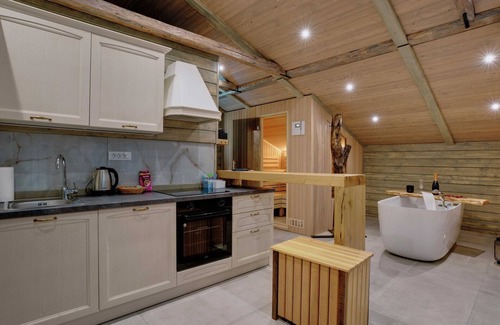 Lasko Apartment | Serene and Radiant Retreat Apartments - One Bedroom Apartment with Sauna