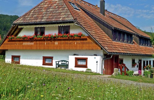 Hennenmatt Apartment | Relaxing Apartment in Rickenbach by Ski Lift, Family-Friendly