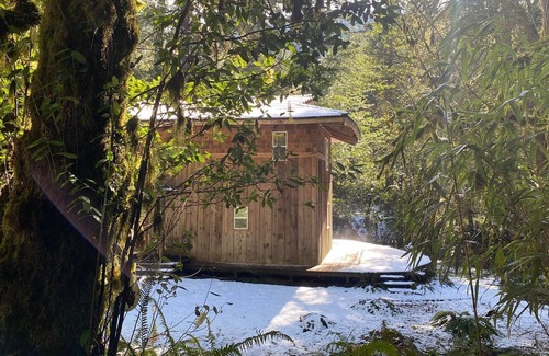 Coos Bay House | Serene Creekfront Lodge style home hidden away in Elliot National Forest
