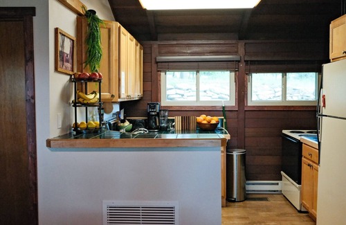 Indian Lake Cabin | Serene Lakeview Cabin Retreat w/Dock, Kayak & SUP at Indian Lake