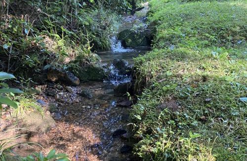 Copperhill House | Escape to Serenity Creek - Ideal for Families and Pets