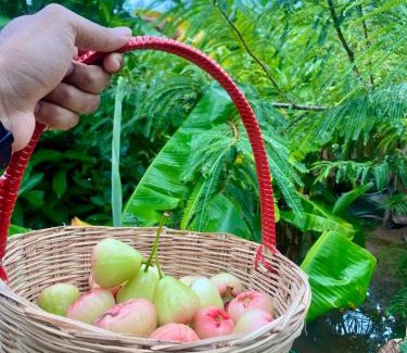 Kalpakkam Villa | Discover Serenity Farms: Family-Friendly Stay with Pool