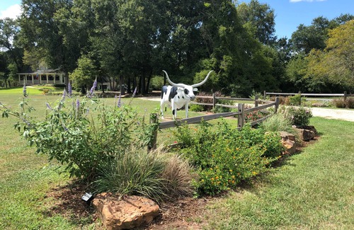 Round Top House | Enchanted Serenity Hill - Steps from Henkel Square