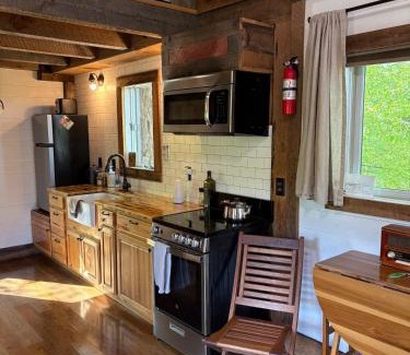 Denver House | Serenity House- a treehouse