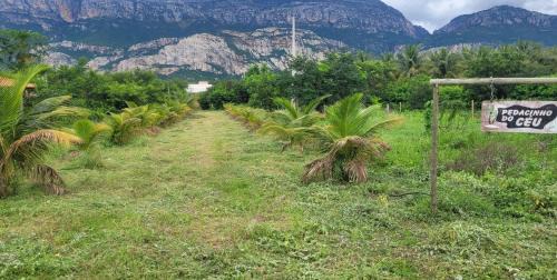 Porteirinha House | Experience Serrado Porteirinha: Your Pet-Friendly Retreat