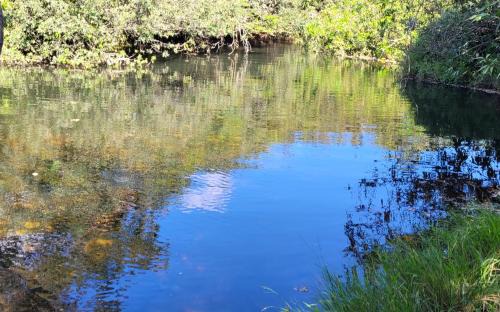 Porteirinha House | Experience Serrado Porteirinha: Your Pet-Friendly Retreat