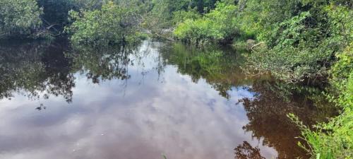 Porteirinha House | Experience Serrado Porteirinha: Your Pet-Friendly Retreat