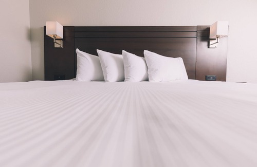 Grande Prairie Hotel | Discover Service Plus Inn and Suites in Grande Prairie