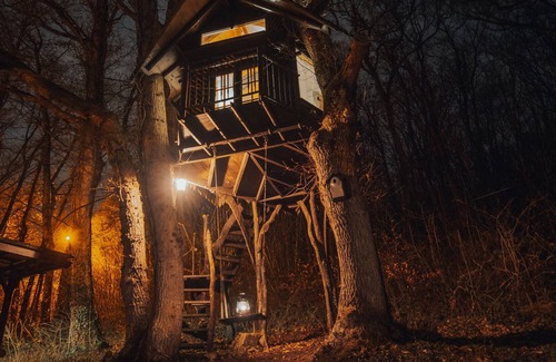 Sevry House | Set in a full green environment with large garden, treehouse and 70a of woodland