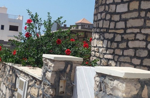 Ras Kebdana Apartment | Discover 3 Apartments in Our Elegant Villa Retreat