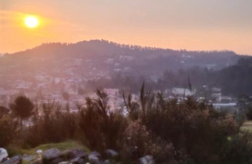 Ooty Apartment | Family-Friendly Retreat at Seven Endue Delight Hotel