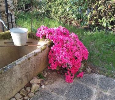 Mailhac-sur-Benaize House | Cozy Country House with Family and Pet-Friendly Amenities