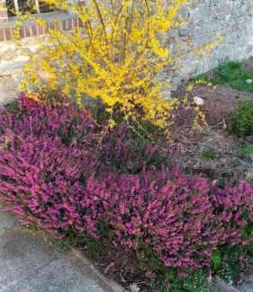 Mailhac-sur-Benaize House | Cozy Country House with Family and Pet-Friendly Amenities