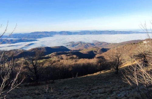 Terminillo Apartment | Cozy Sguardo nel bosco Apartment - Family & Pet Friendly