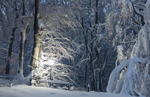 Terminillo Apartment | Cozy Sguardo nel bosco Apartment - Family & Pet Friendly