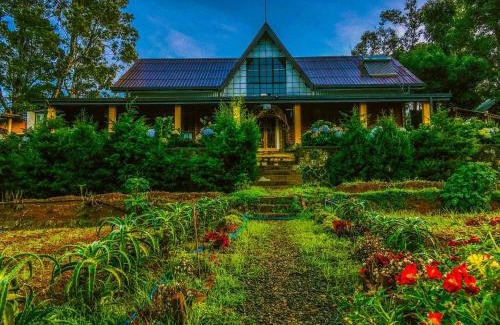 Welimada Bed & Breakfast | Pet Friendly Retreat at Shadow Mask Bungalow - Book Now!