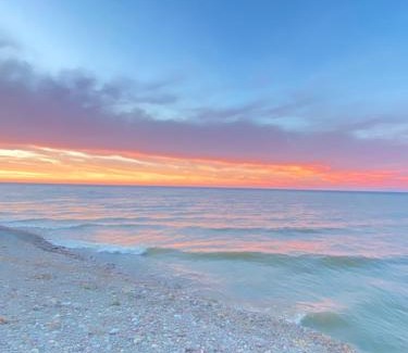 Sterling Resort | Pet-Friendly Escape at Shady Shores RV Resort & Campground