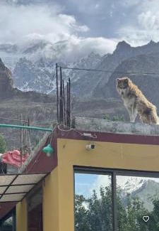 Hunza House | Shaheen Resort Hunza-SRH