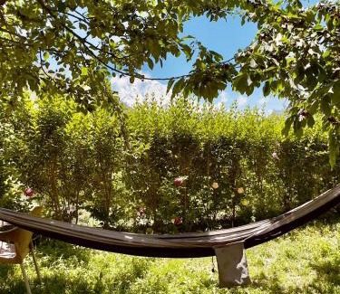 Hunza House | Shaheen Resort Hunza-SRH
