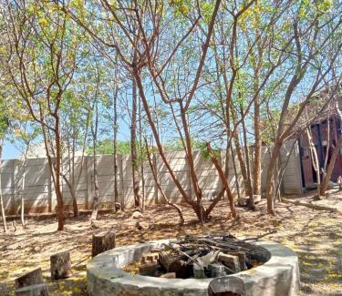 Pyramid Apartment | Discover Shalom Place of Peace: Pet-Friendly Oasis