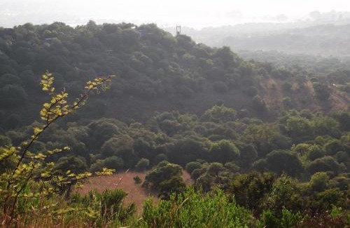 Maanhaarand Cabin | Discover Shamba Yetu Mountain Lodge: Oceanfront Retreat