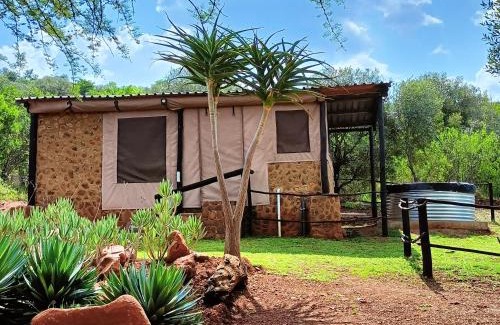Maanhaarand Cabin | Discover Shamba Yetu Mountain Lodge: Oceanfront Retreat
