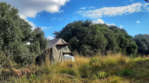 Maanhaarand Cabin | Discover Shamba Yetu Mountain Lodge: Oceanfront Retreat